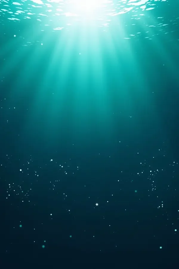 蔚蓝之海 西瓜影院在线 蔚蓝之海